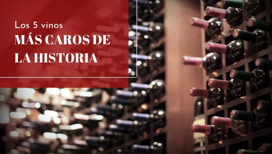 Los 5 vinos más caros de la historia