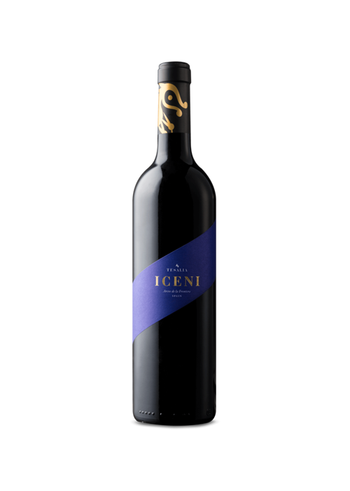 ICENI